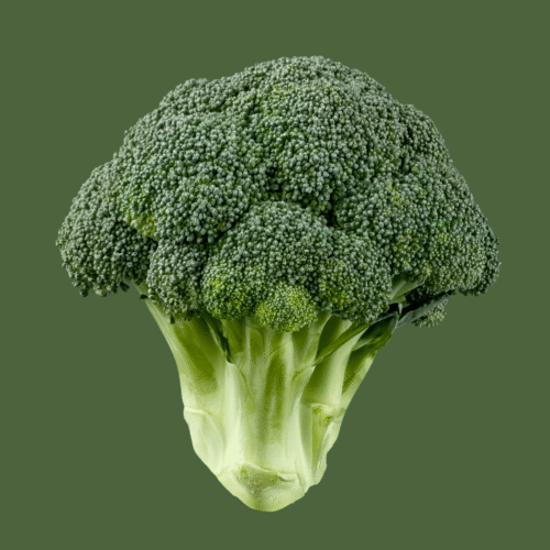 Fresh Broccoli