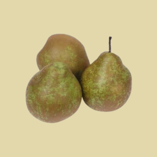 Pears Winter Nelis kg