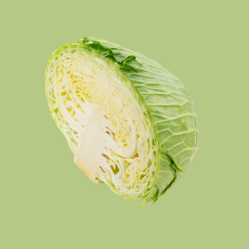Cabbage Green Half Cut
