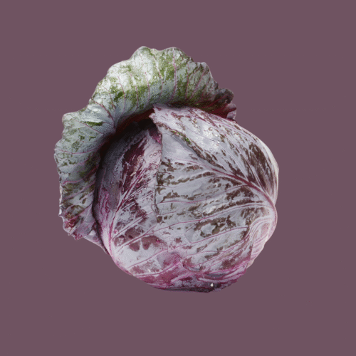 Cabbage Red Whole each