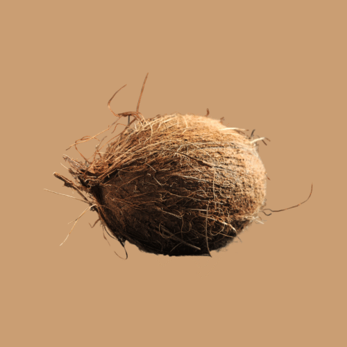 Coconut Mature Whole, each
