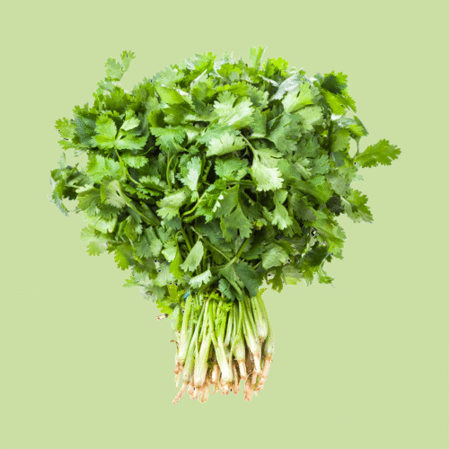 Coriander Leaves, Box | 2kg
