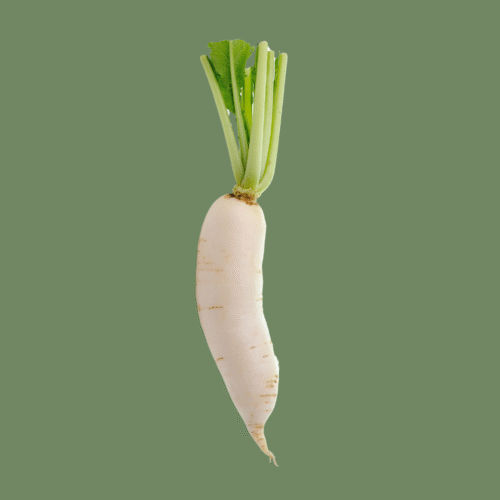 Daikon (Turnip Long), each