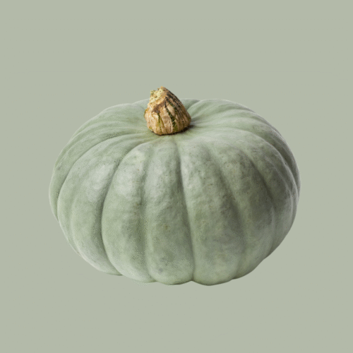 Pumpkin Crown, each | approx. 3kg