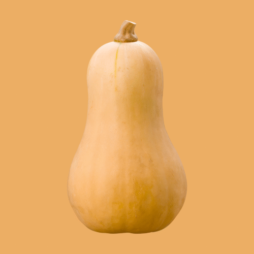 Butternut Pumpkin Whole Small