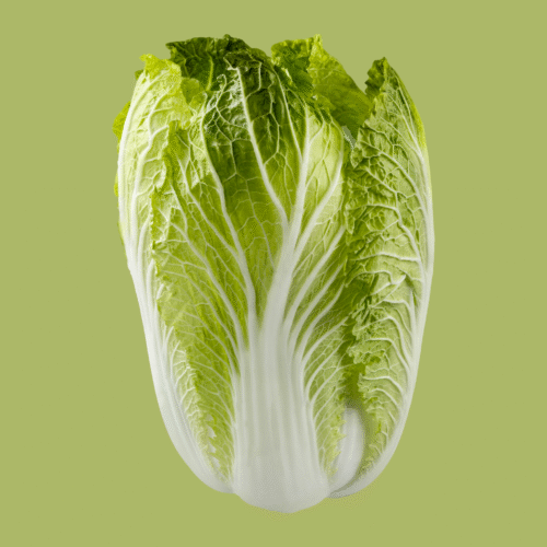 Fresh Wong Bok-Cabbage, each