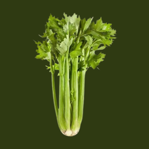 Celery Bunch, Whole