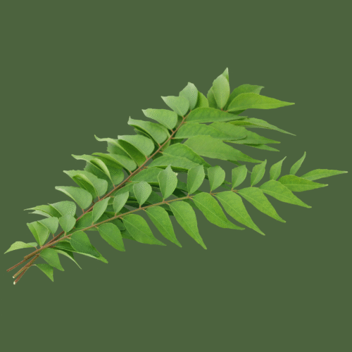 Fresh Curry Leaves 50g