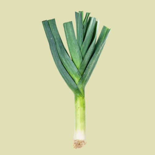 Fresh Leek (Solar Produce)
