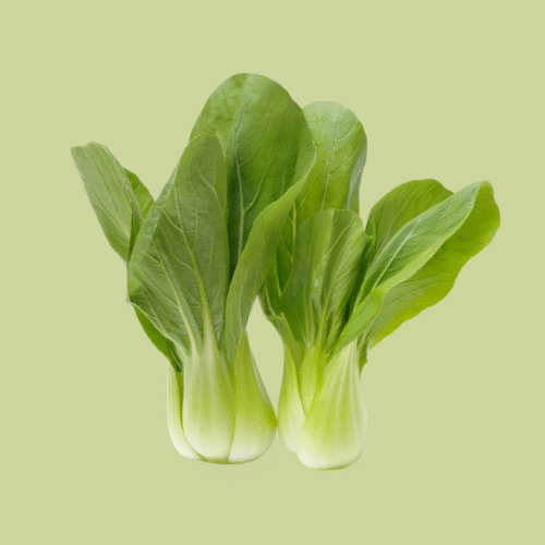 Shanghai-Cabbage, Twin Pack