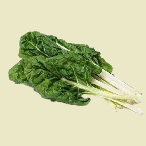 Fresh Silverbeet Bunch