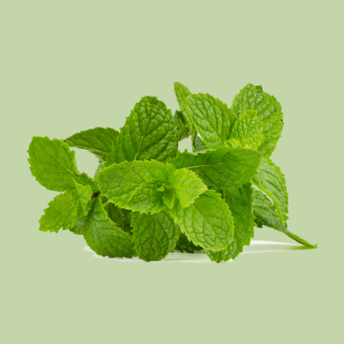 Fresh Herbs Mint Leaves, Bag | 50g