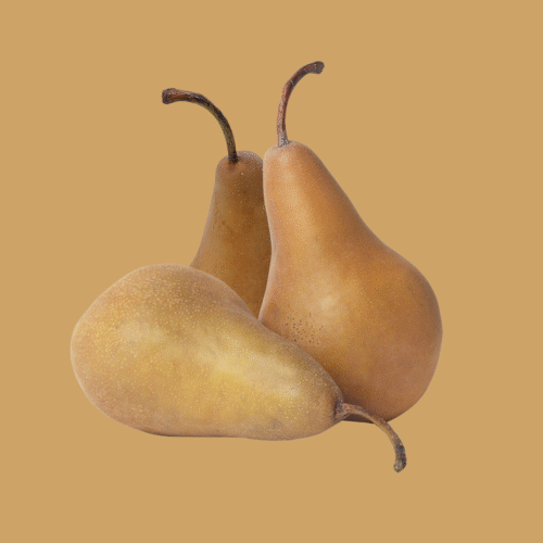 Pears Beurre Bosc, 5ct | approx. 1kg