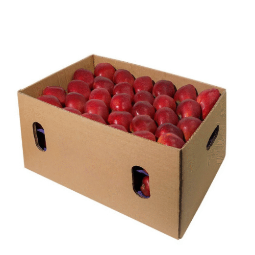 Apples Dazzle, Box | 18kg