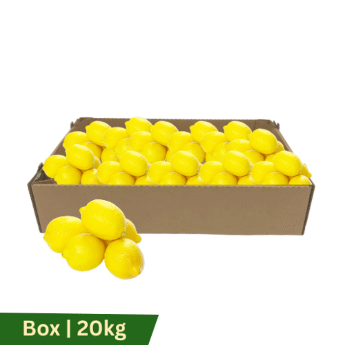 Fresh NZ Lemons, Box | 20kg