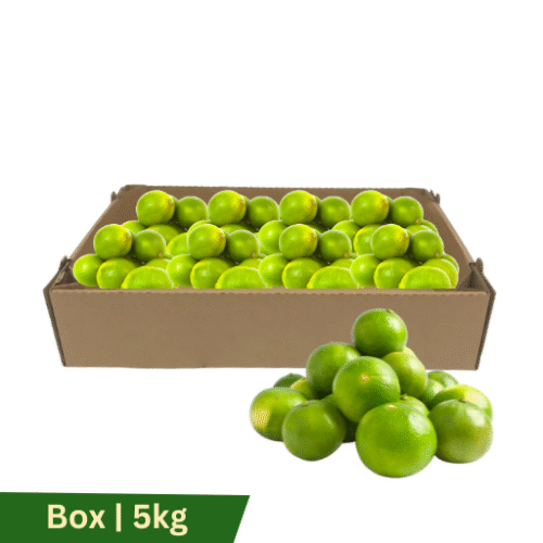 Fresh NZ Limes, Box | 5kg
