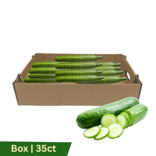 Telegraph Cucumber 11', Box | 35ct