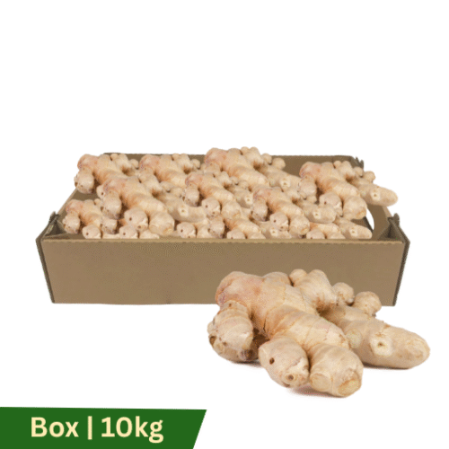 Ginger (Thailand), Box | 10kg