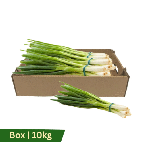 Spring Onions, Box | 25ct
