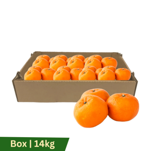 Mandarins Satsuma, Box | 14kg