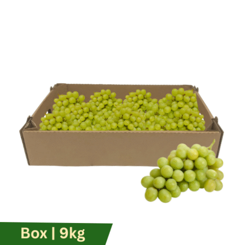 Grapes Green Imported, Box | 9kg