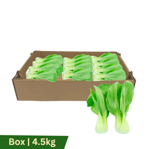 Shanghai-Cabbage, Box | 4.5kg