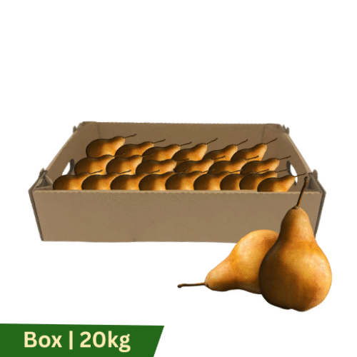 Pears Beurre Bosc, Box | 20kg