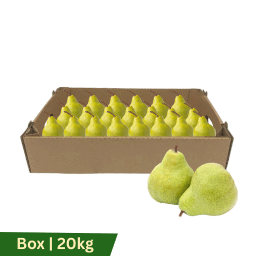 Fresh Pears Packham, Box | 20kg