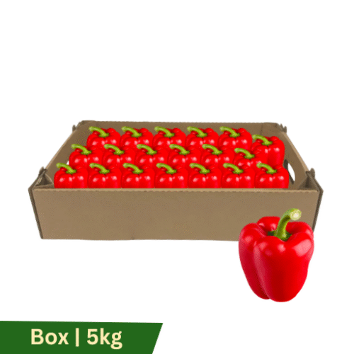 Capsicum Red, Box | 5kg