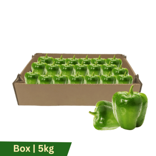 Capsicum Green, Box | 5kg