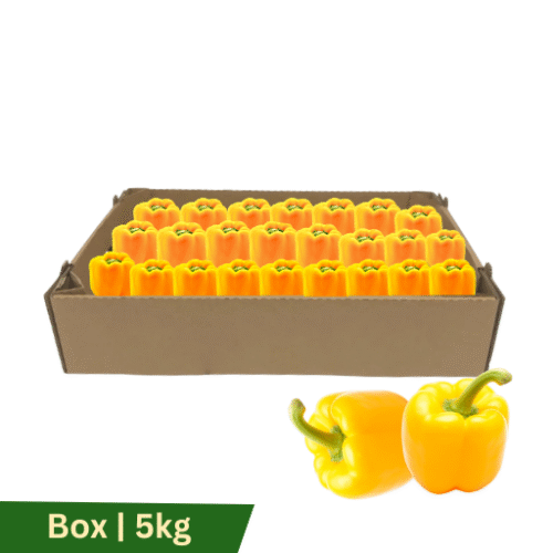 Capsicum Yellow, Box | 5kg
