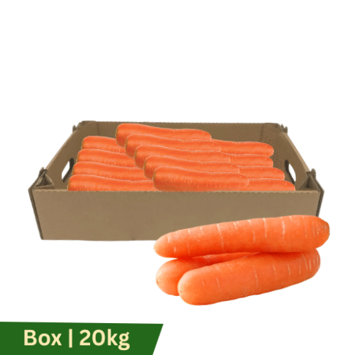 Carrots Large (Southland), Box | 20kg
