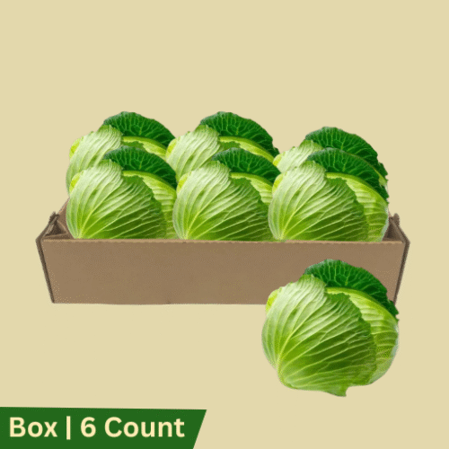 Cabbage Green, Box | 6ct