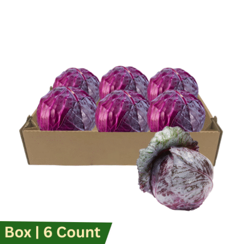 Cabbage Red Whole, Box | 6ct